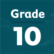 Grade 10 Assessment