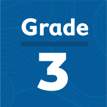 Grade 3 Assessment