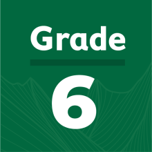 Grade 6 Assessment